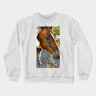 Why The Long Face ? Crewneck Sweatshirt